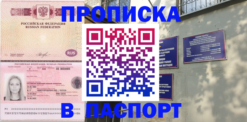 прописка в Кузнецке